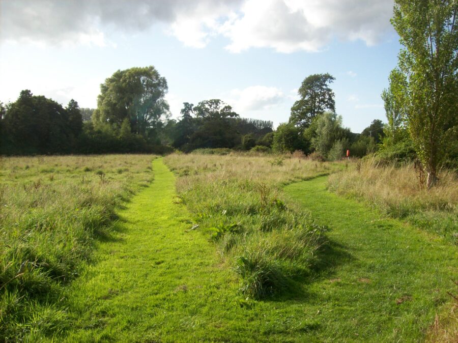 Webbers Meadow South.