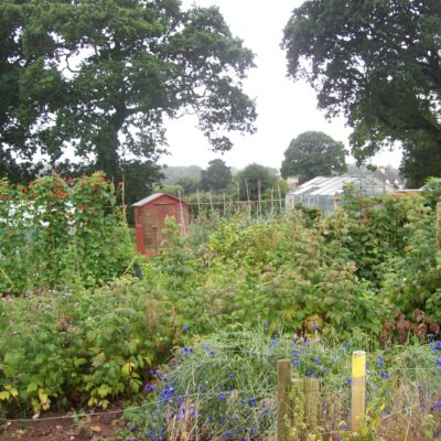 Allotments.