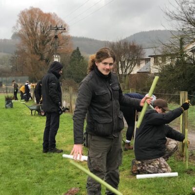 Tree Planting 1