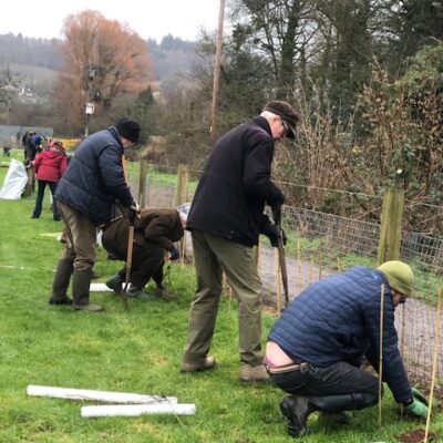 Tree Planting 2