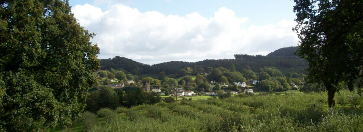 View From Orchards South To Harpford Trimmed